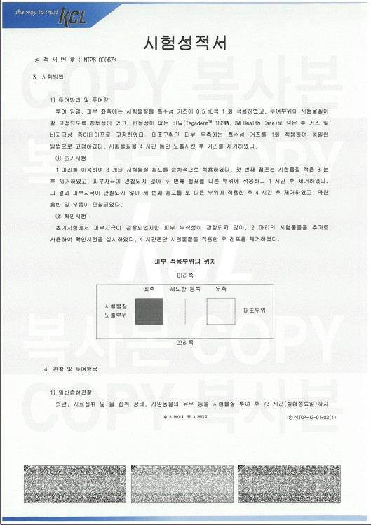 피부 자극성 시험성적서 3페이지