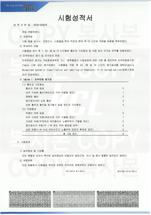 피부 자극성 시험성적서 4페이지