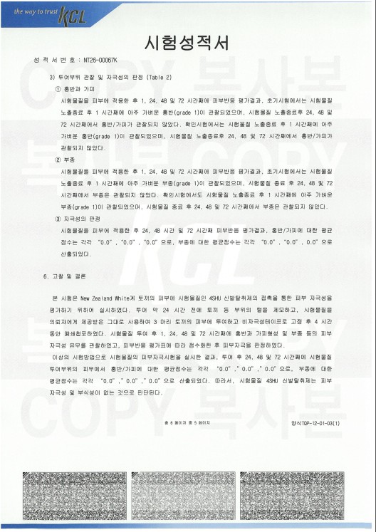 피부 자극성 시험성적서 5페이지