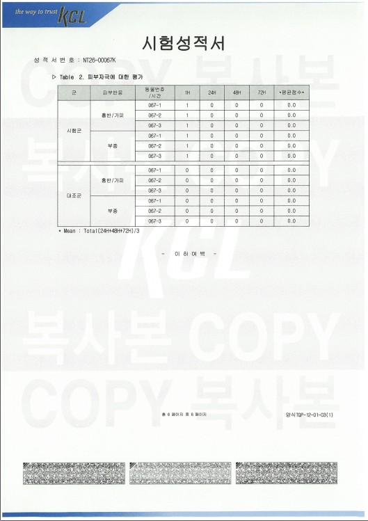 피부 자극성 시험성적서 6페이지